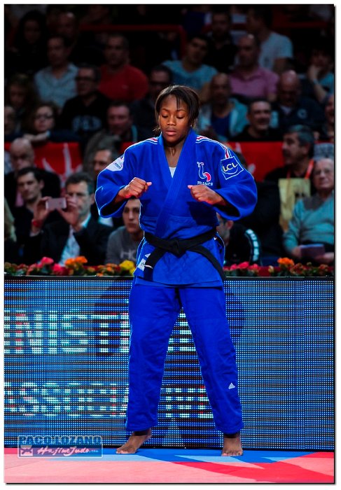 Paris 2014 by P.Lozano cat -63 kg (166)